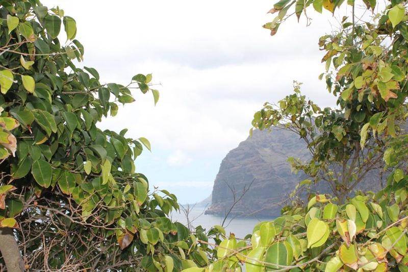 Ferienwohnung Seaview Acantilado de los Gigantes Exterior foto